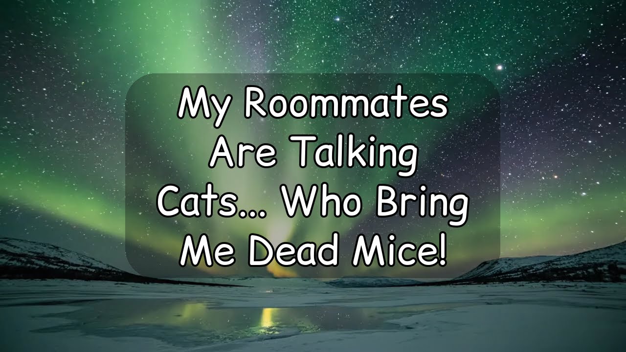 [Full Audio] My Roommates Are Talking Cats... Who Bring Me Dead Mice!