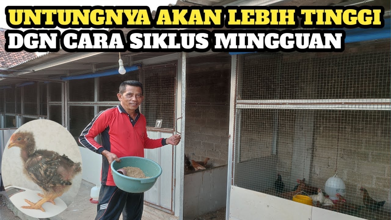 GAJIAN TIAP MINGGU, ASAL TAU CARA MAINNYA💯