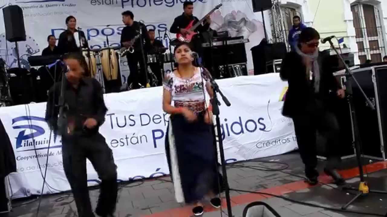 EMOCION LATINOS EN MUNICIPIO DE OTAVALO - contratos 0979929956