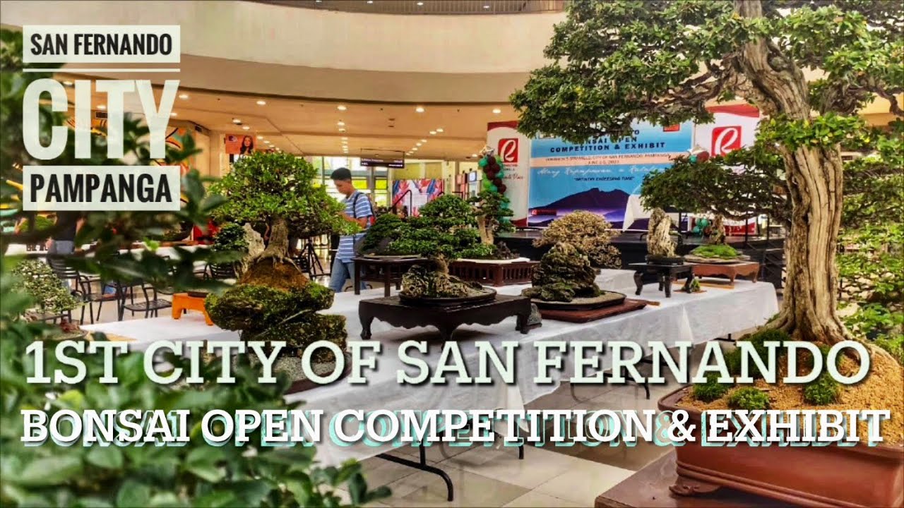 1st City of San Fernando Bonsai Open Competition And Exhibit | CSF, Pampanga | June 2023