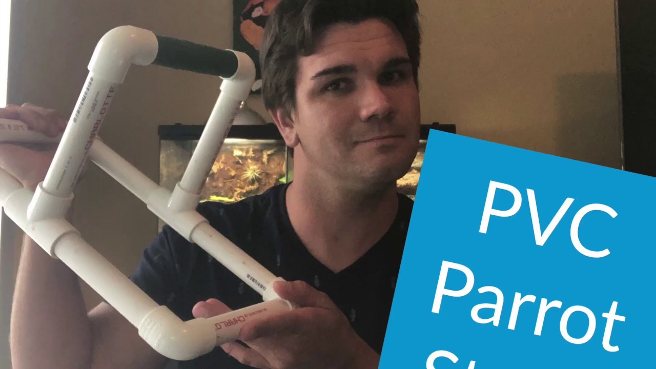 PVC Parrot Stand