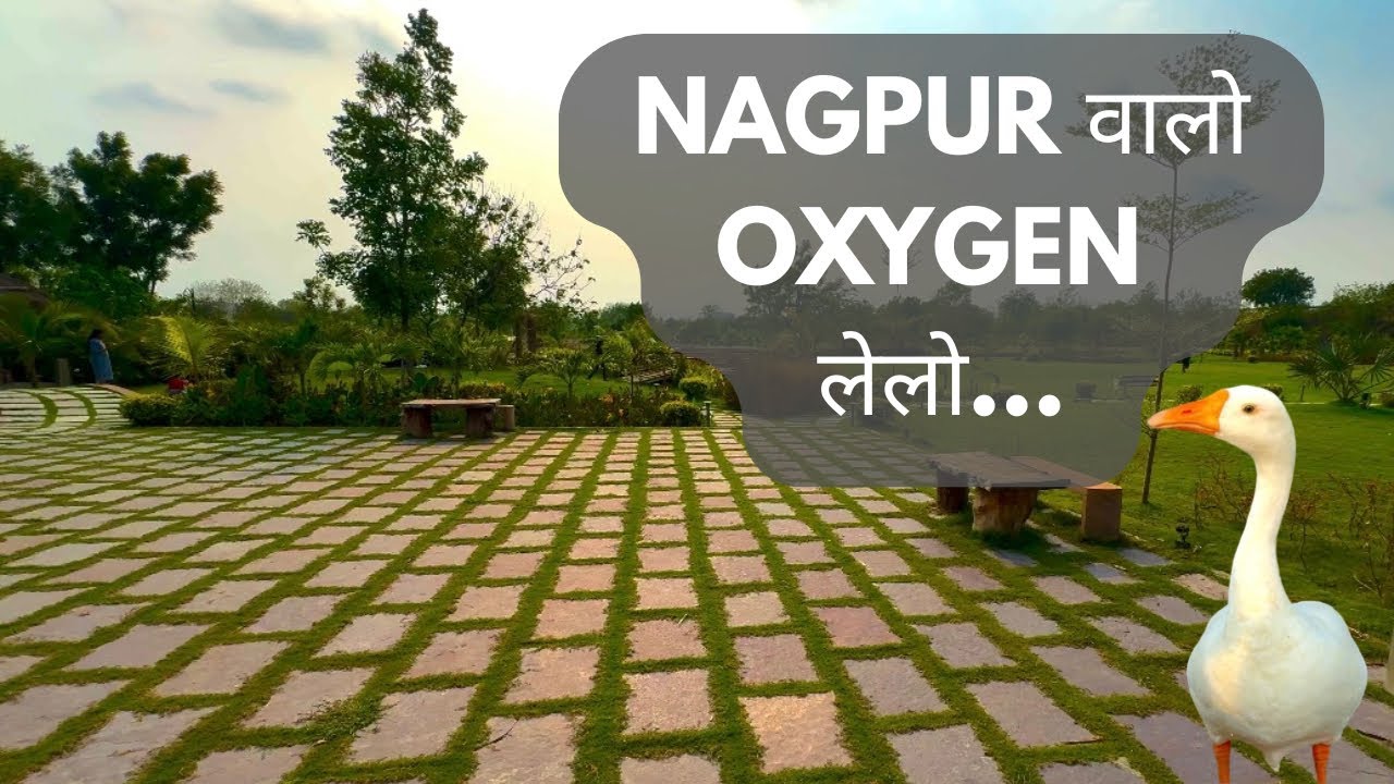 “Oxygen Bird Park Nagpur🐦🦢| Peaceful Escape” #oxygenpark #nagpur