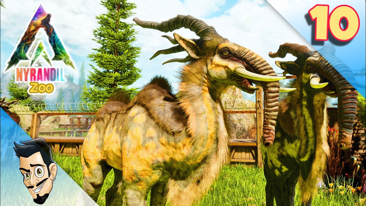 " ARK ZOO " UN ENCLOS pour MON TROUPEAU DE STAROLFEND ! EP10 NYRANDIL ARK SURVIVAL ASCENDED