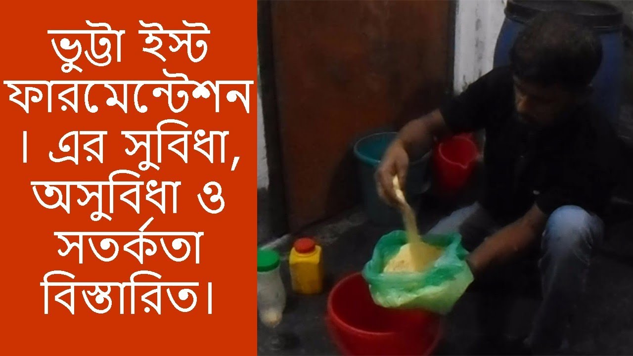 ভুট্টা ইস্ট ফারমেন্টেশন- Yeast Fermentation ।  এর সুবিধা, অসুবিধা ও সতর্কতা বিস্তারিত ।