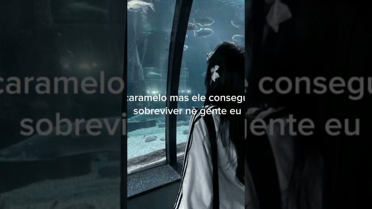 #justiçapeloorelha