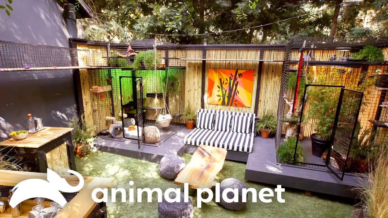 Coolest Custom Made Animal Cribs! | Animal Cribs | Animal Planet