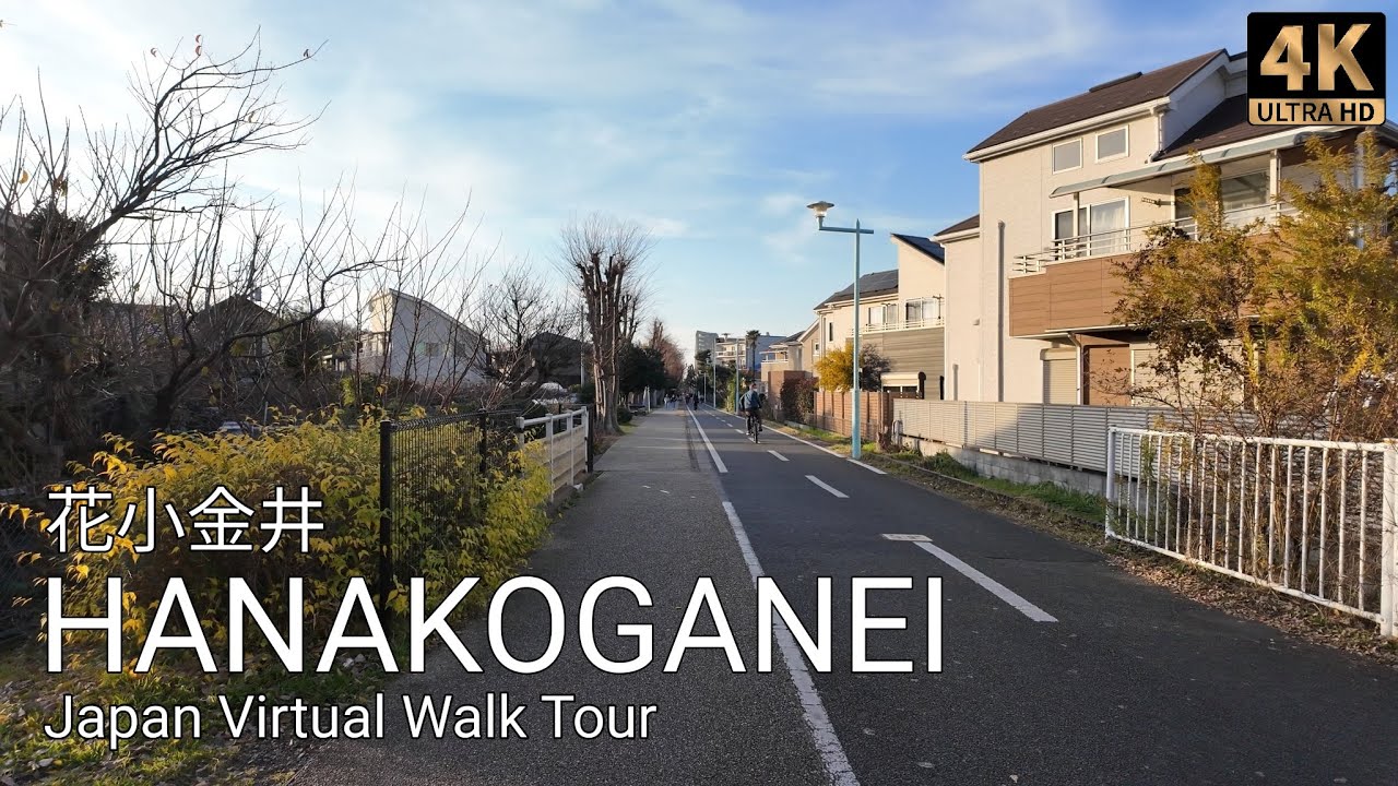 Tokyo Suburbs Walk | From Hana-Koganei Station to Koganei Park and Back | Relaxing Ambience | 4K HDR
