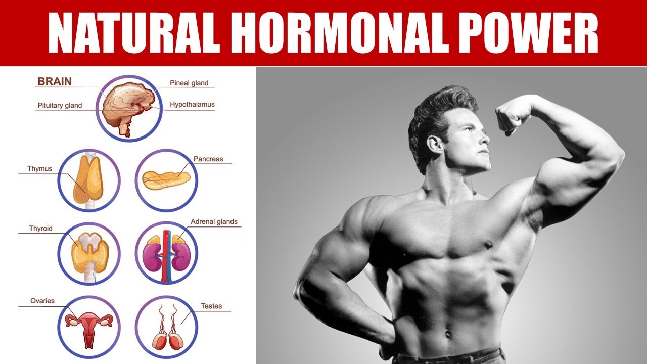 Why Old School Bodybuilders Used Glandulars #motivation #bodybuilding #health