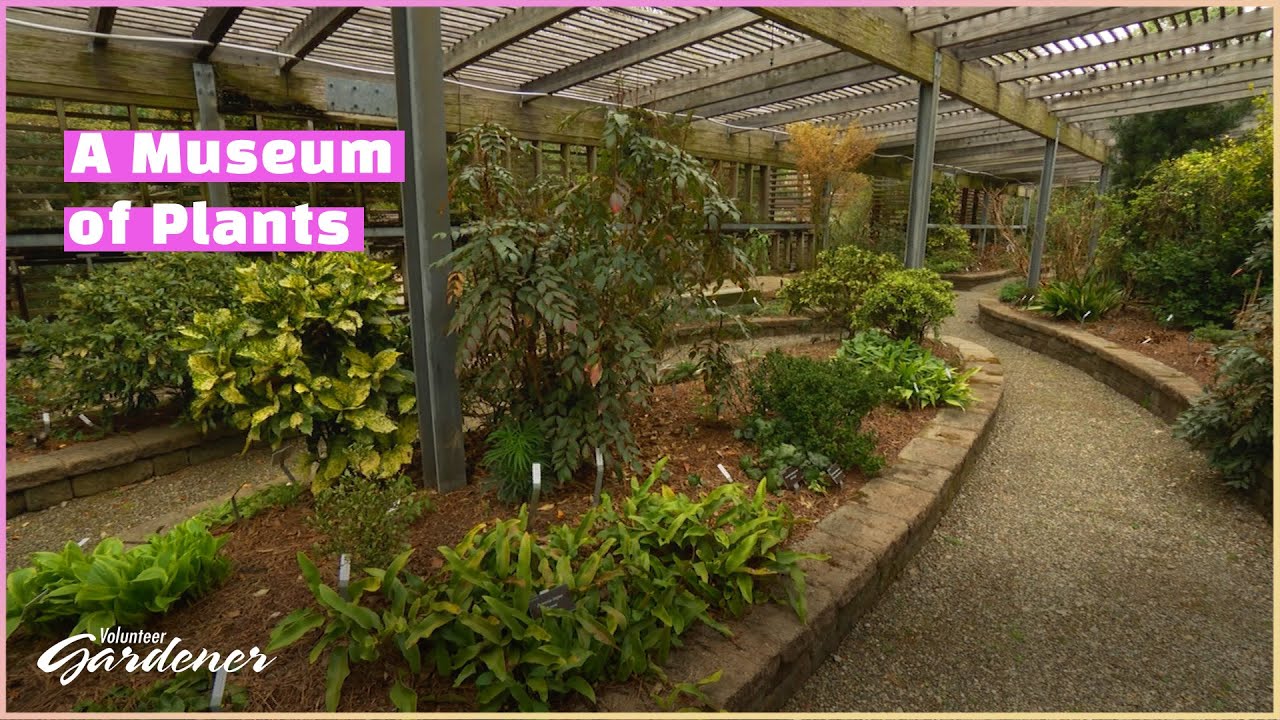 Lath House, JC Raulston Arboretum | Volunteer Gardener