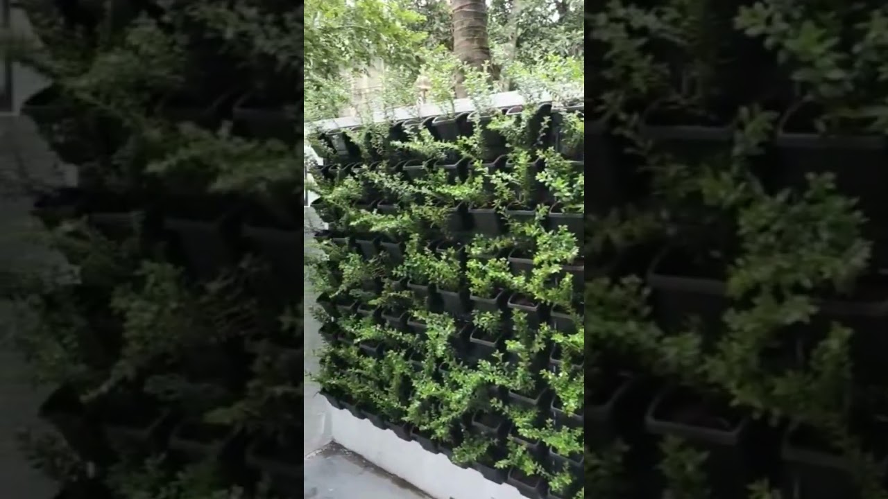 How To Make Vertical Garden || Natural Vertical Garden For Home || Do It Yourself #howtomake #diy