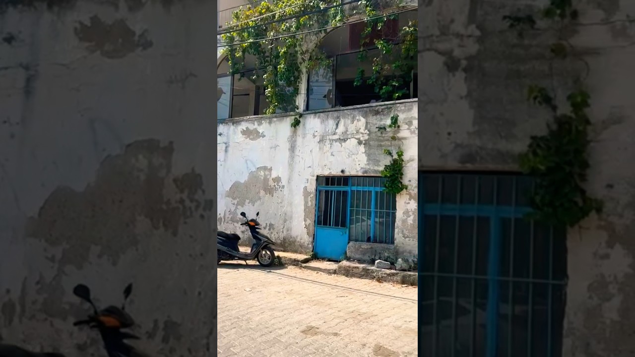 Turkish village life in the morning #turkey #villagelife #youtubeshorts #shortsvideo #shortsfeed