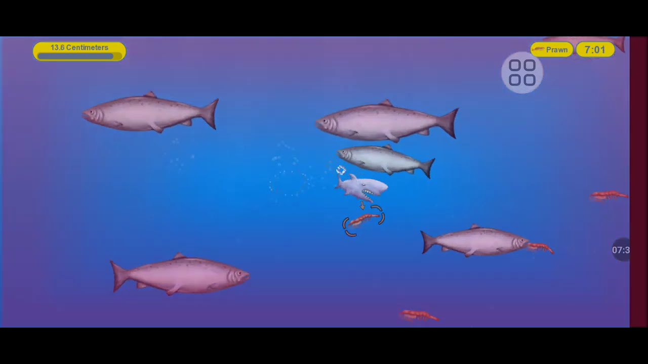 Tasty blue tubarão🤔🤨😐🙄😄