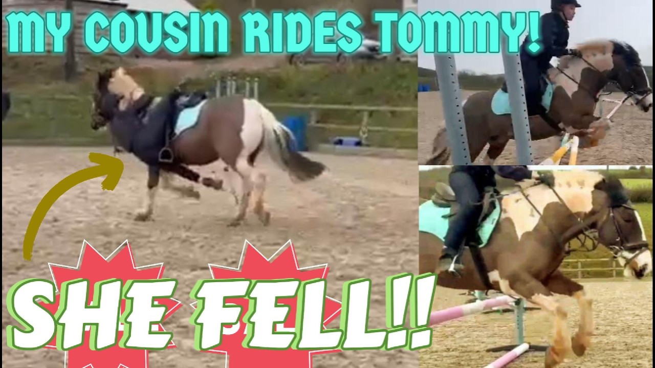 MY COUSIN POPPY RIDES TOMMY AND FALLS OFF!!!