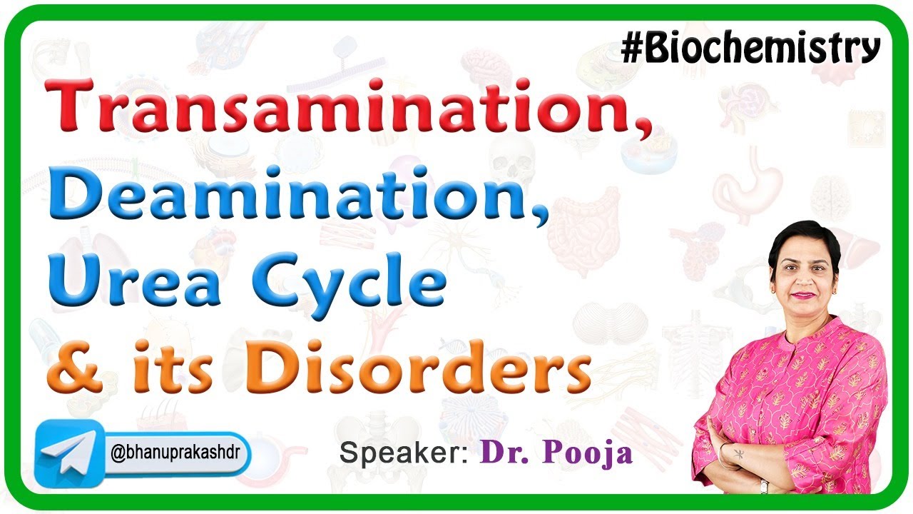 Transamination, Deamination, Urea cycle and its Disorders : USMLE Step 1