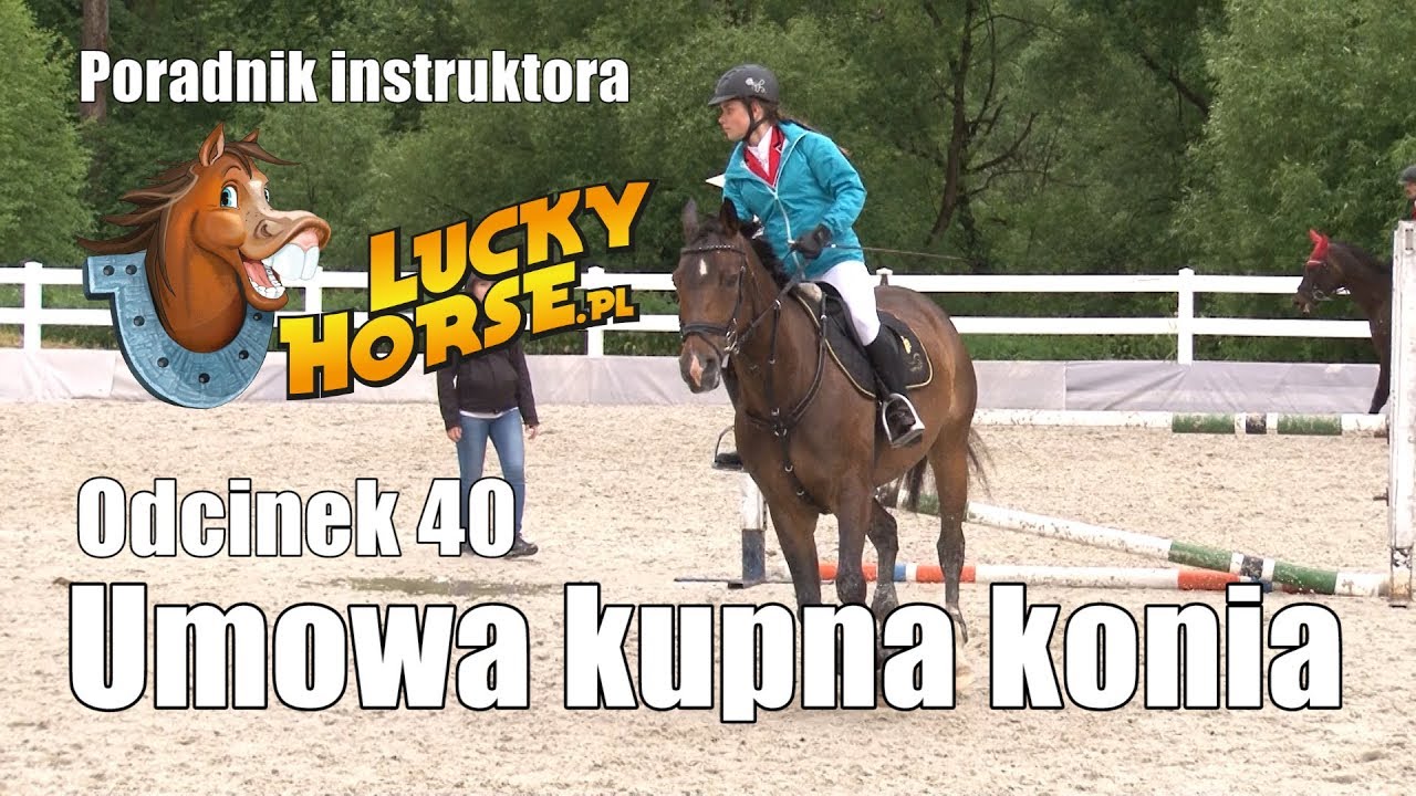 Porady LuckyHorse pl - Odc40 - Umowa kupna konia