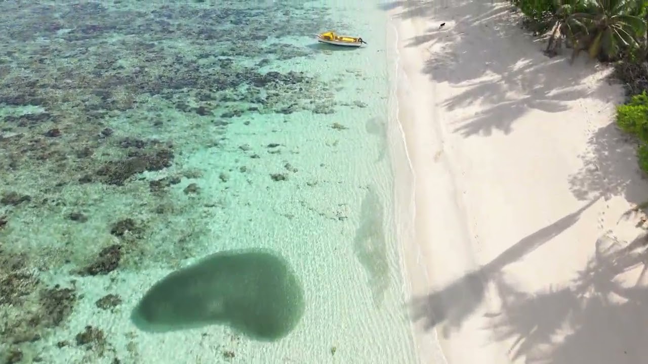 Seychelles, Anse Forbans, Mahe, Seychelles, December 2022, 4k