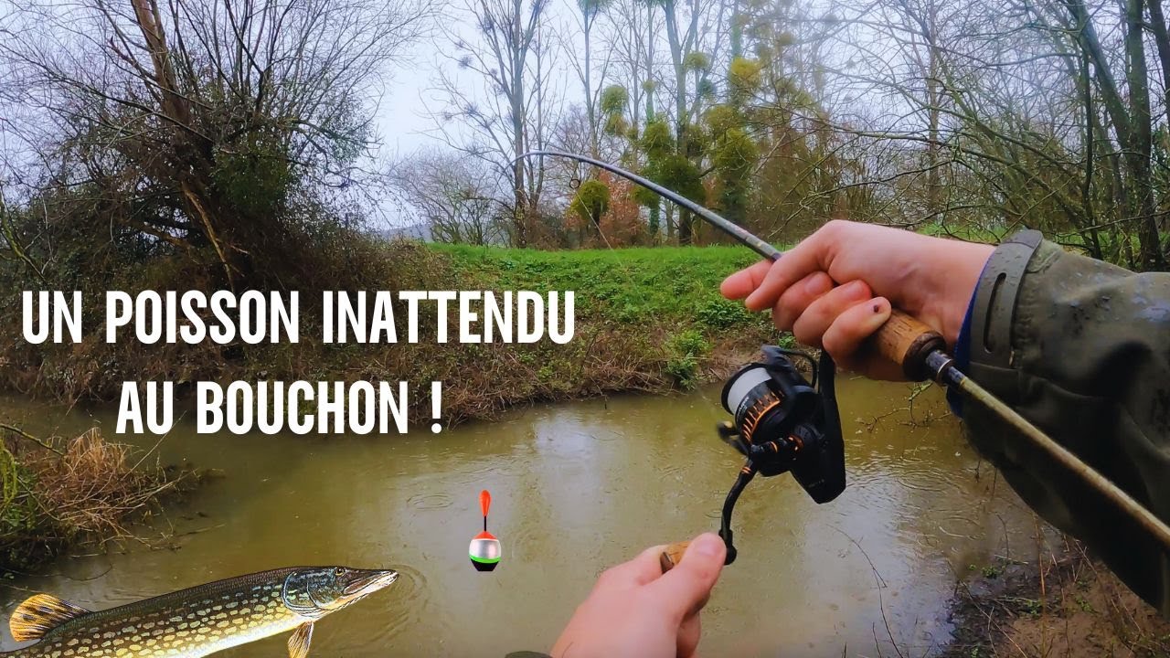 JE NE M'ATTENDAIS PAS A PRENDRE CE POISSON EN PÊCHANT AU BOUCHON !