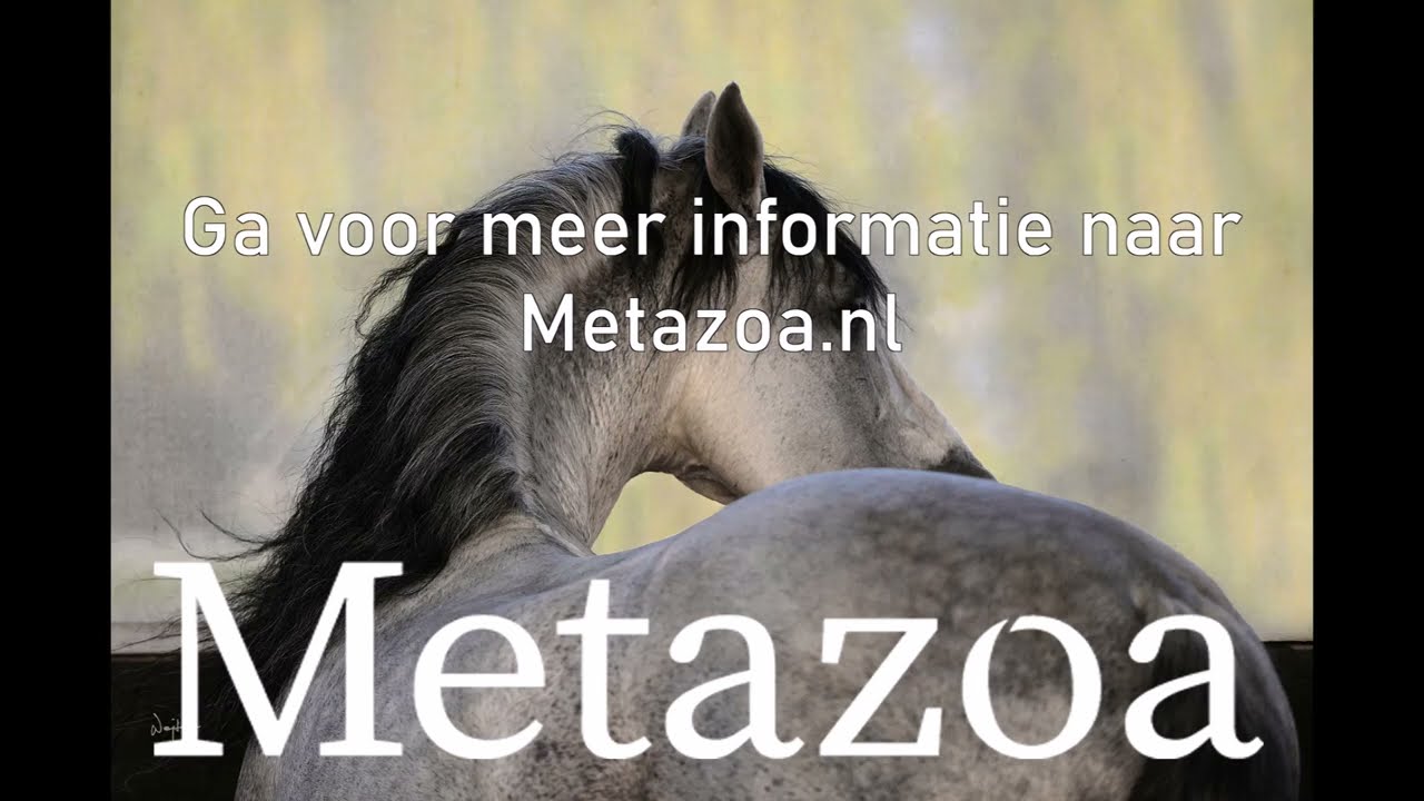 Metazoa Diervoeders - Het inpakken van het paardenvoer