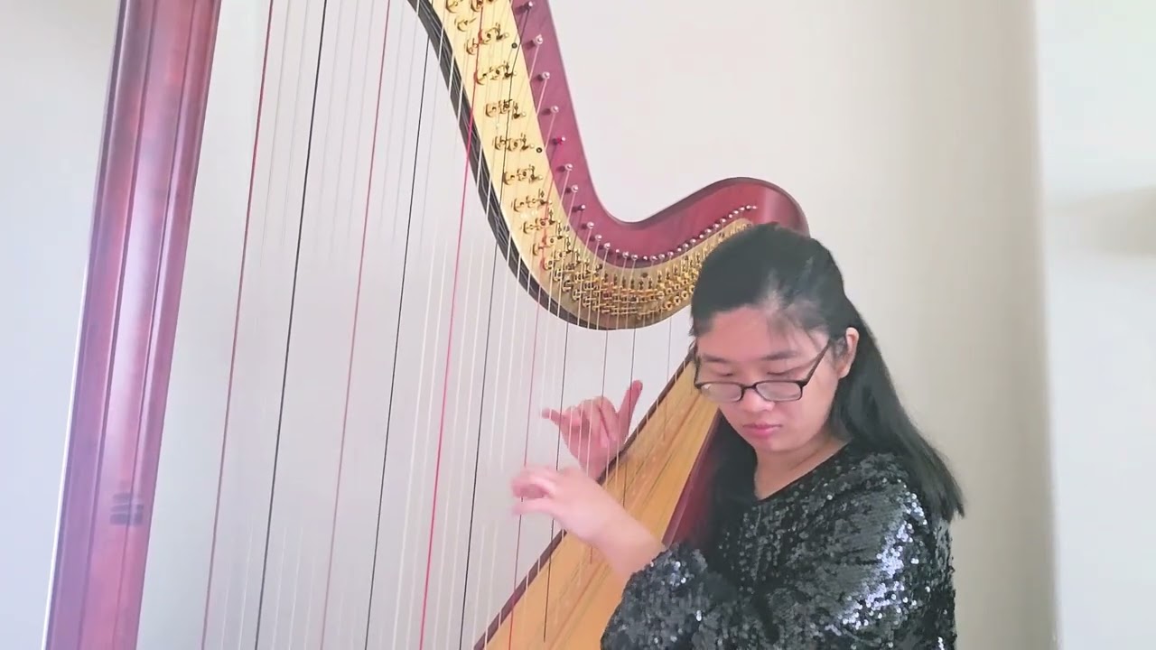 M. Castelnuovo-Tedesco Harp Concertino Mvt 2 (solo version)