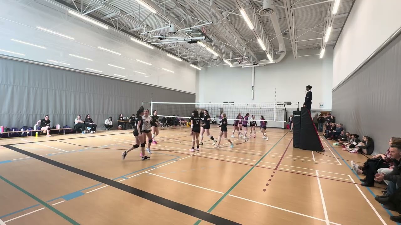 Set 2 vs fusion 