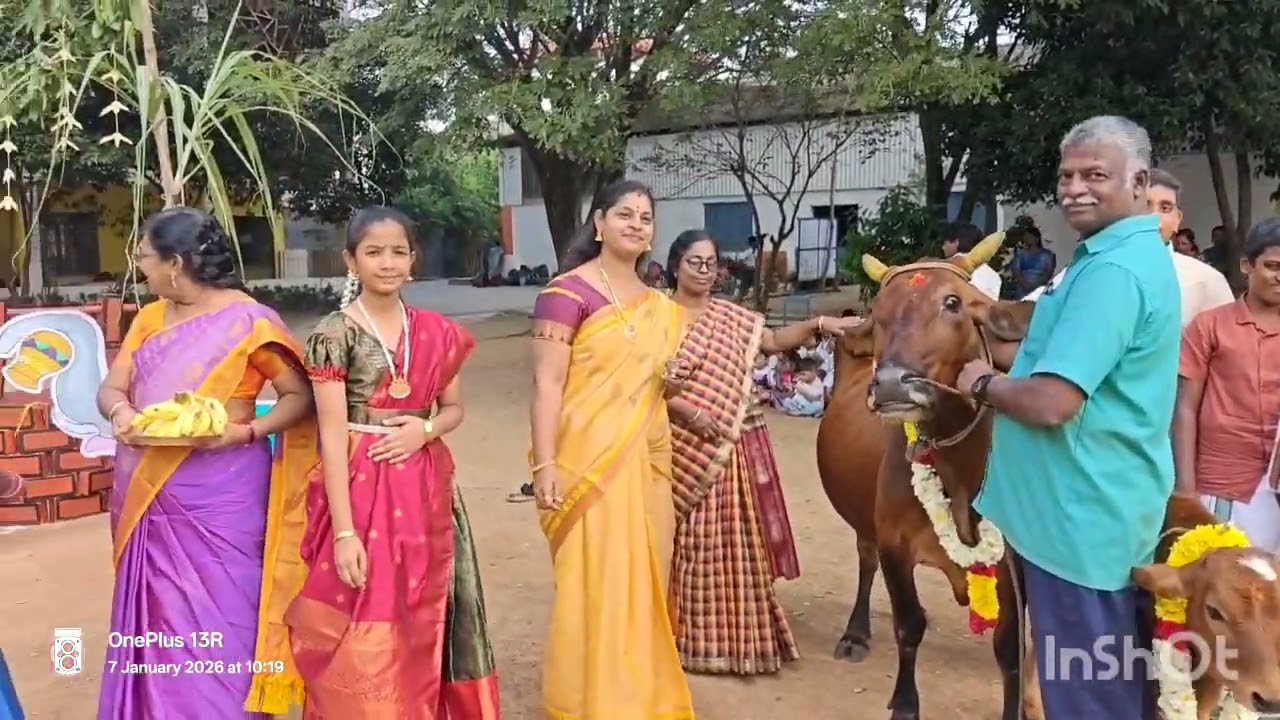 PONGAL CELEBRATION   PART 3