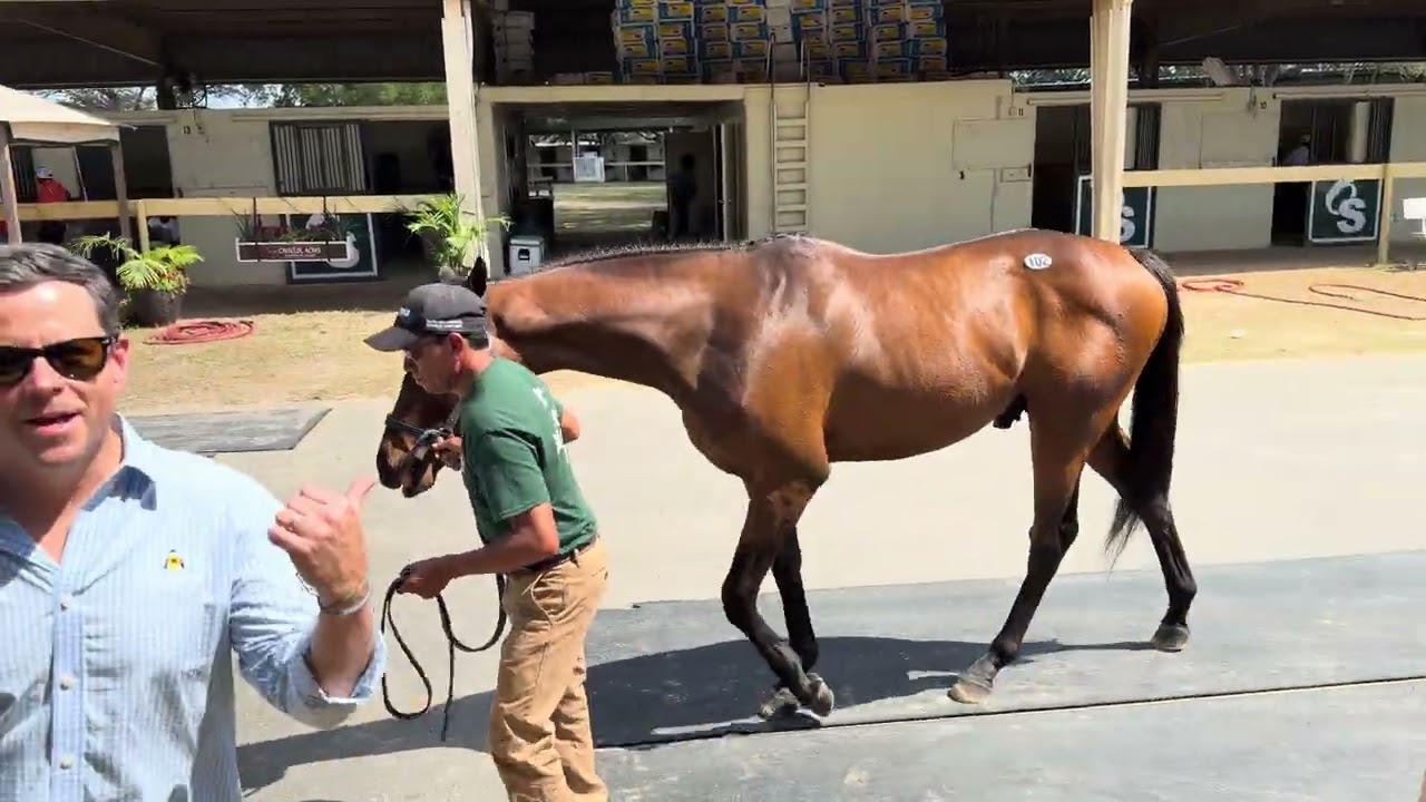 Back at the barn with hip 102