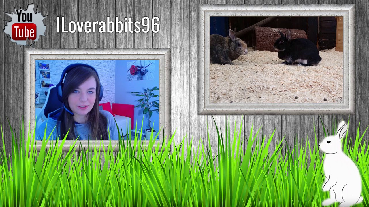 Meine Kaninchen und ihre Haltung #84 [Neues im Jahr 2019 - #Streamer #Zockerweibchen ]