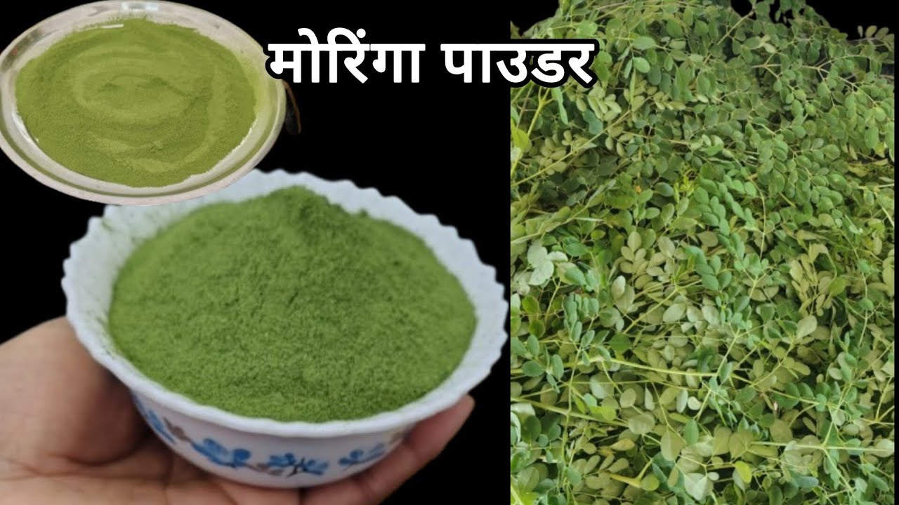 मोरिंगा पाउडर के फायदे | Moringa Pawder Recipe 🙂