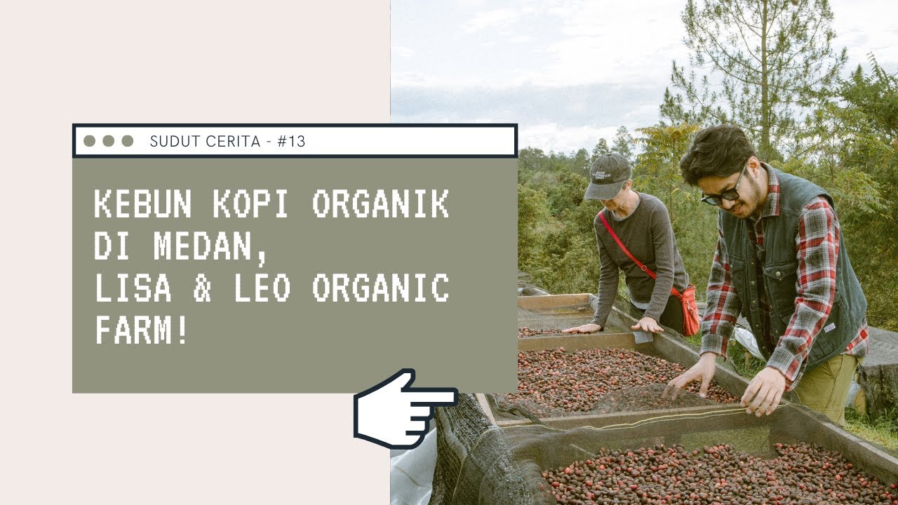 SUDUT CERITA - #13 KEBUN KOPI ORGANIC DI MEDAN, LISA & LEO ORGANIC FARM