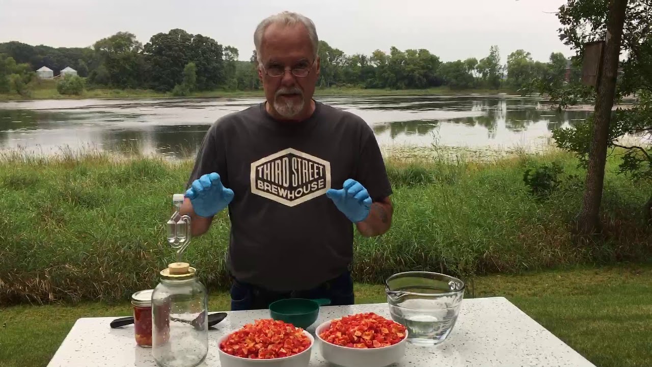 How to make lacto-fermented Carolina Reaper sauce part 1