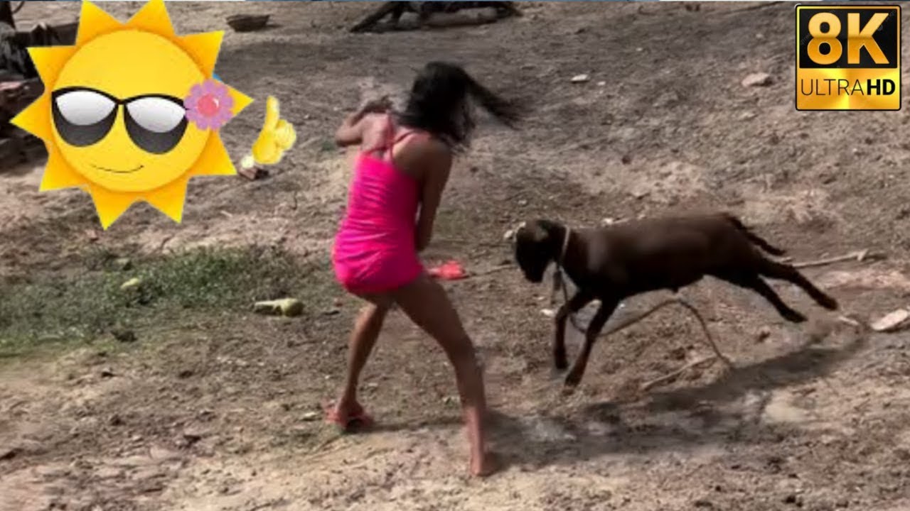 Try Not to Laugh 😜Top 100 Funniest Videos Ever🎬🔥Memes, Epic Fails & Pranks Compilation.👉Part 6