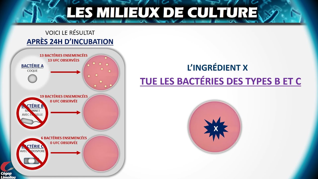 Les milieux de culture généraux, sélectifs et différentiels