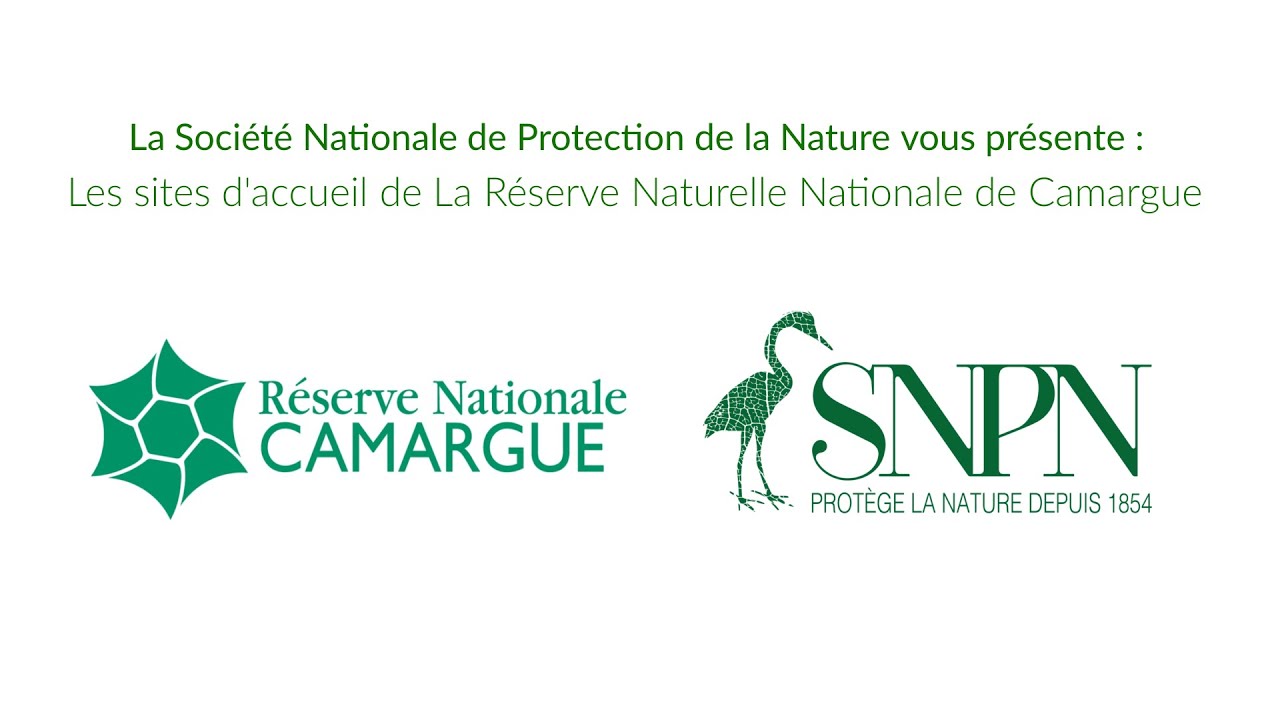 La Réserve naturelle nationale de Camargue vous accueille