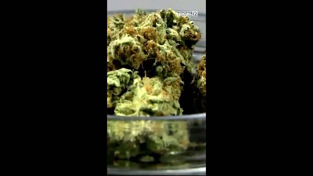 OVI concerns as recreational cannabis becomes legal