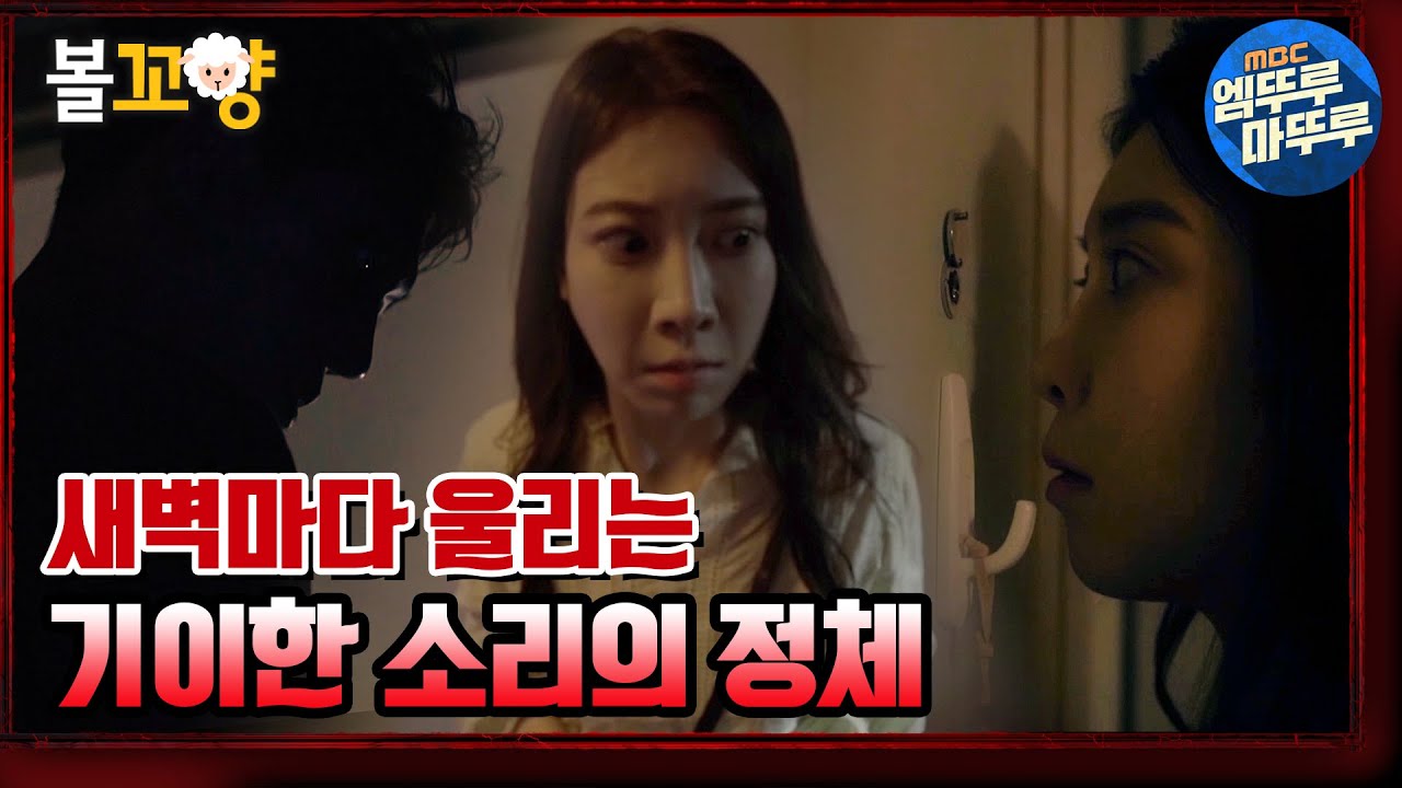 [심야괴담회] ※소름주의※반전주의※ 무당이 만류하던 집으로 이사 후 새벽마다 이상한 소리가 들린다｜#볼꼬양 #엠뚜루마뚜루 MBC210812방송