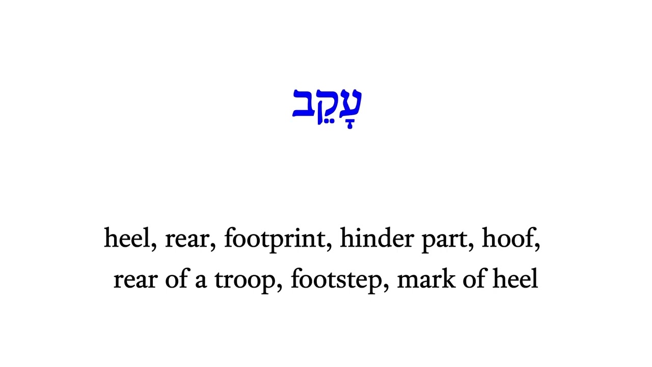 H6119 עָקֵב