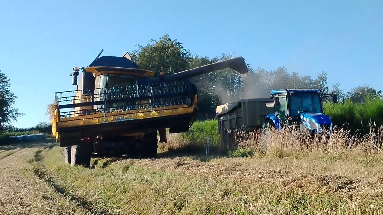 Moisson 2023