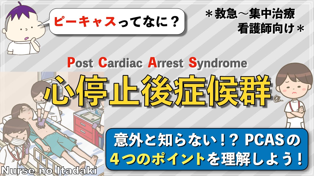 【PCASってなに？】心停止後症候群の主な病態と4つのポイントを理解しよう！