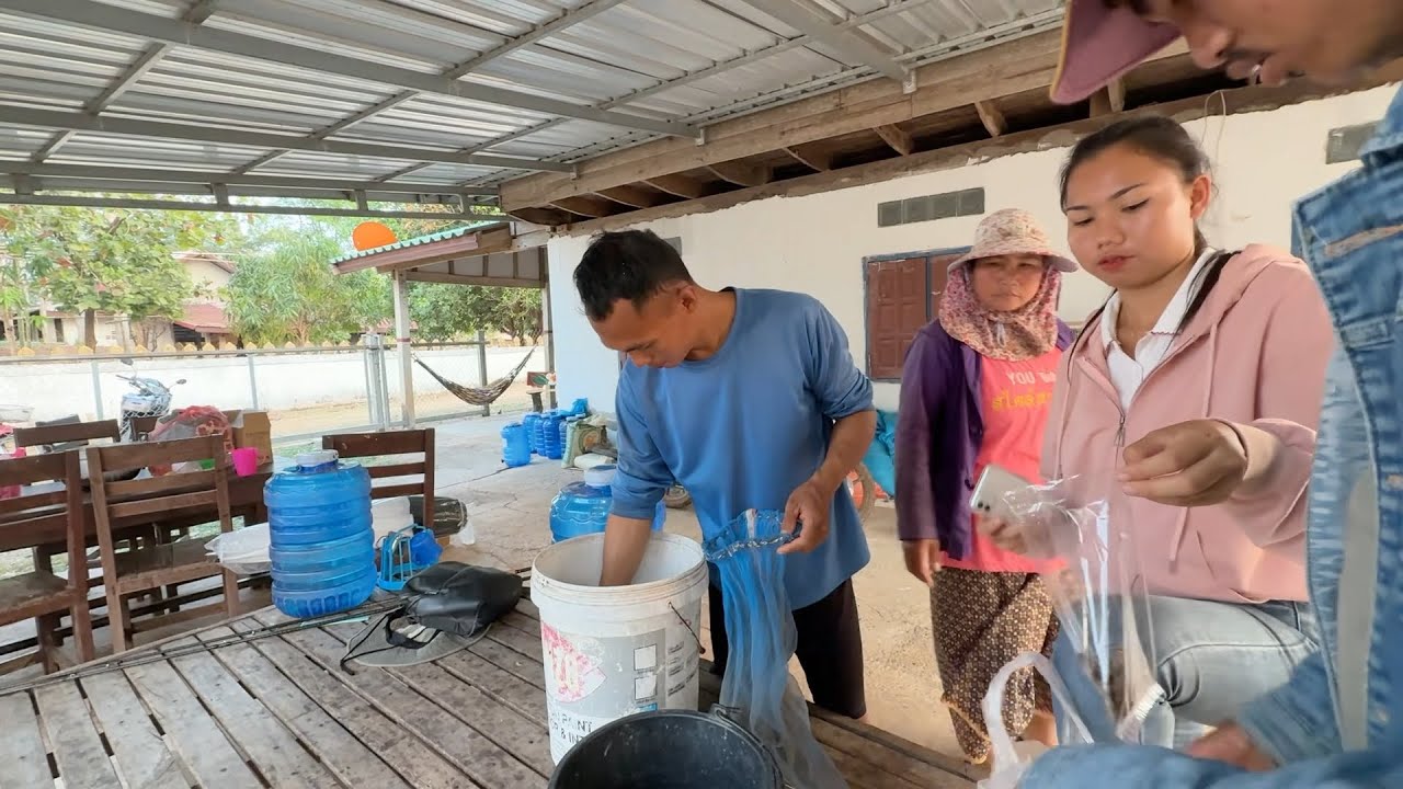ฟ้าหลังฝน วิ่งไล่จับกะปอม วันนี้ได้เยอะพอสมควร