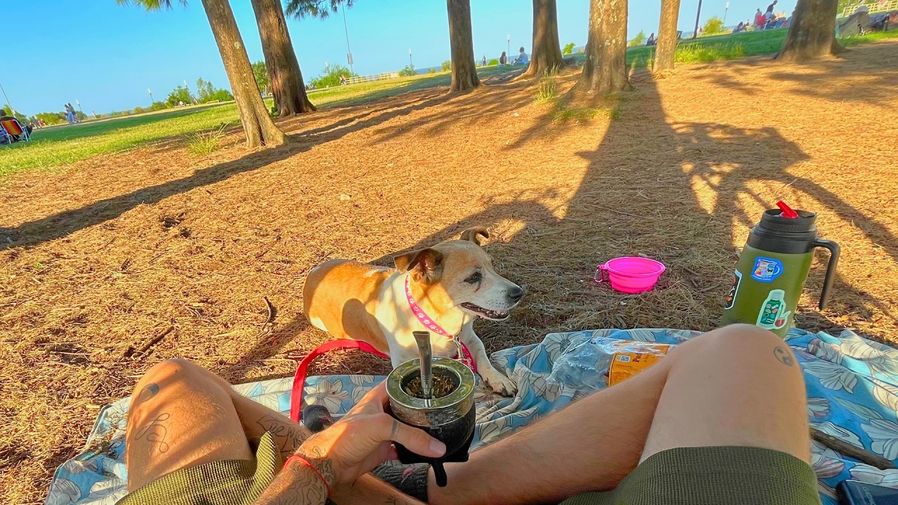 Un día en el río con mi perrita: 🐶 Desconexión y naturaleza. | Vlog