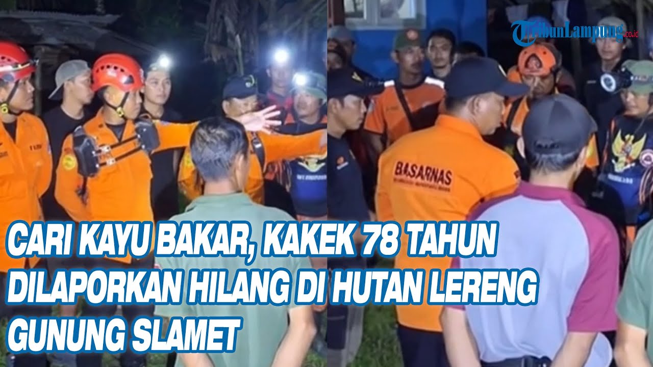 Pamit Cari Kayu Bakar, Kakek 78 Tahun Dilaporkan Hilang di Hutan Lereng Gunung Slamet