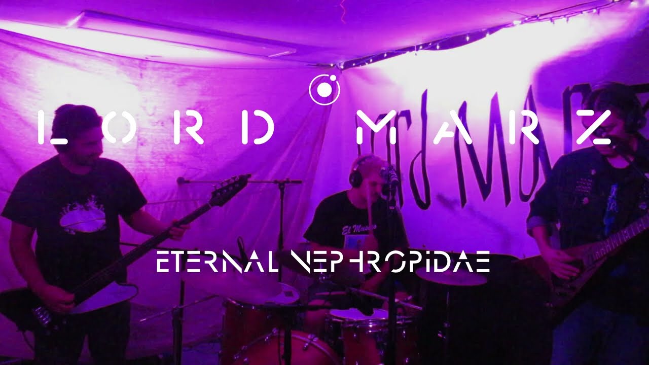 Eternal Nephropidae in Studio