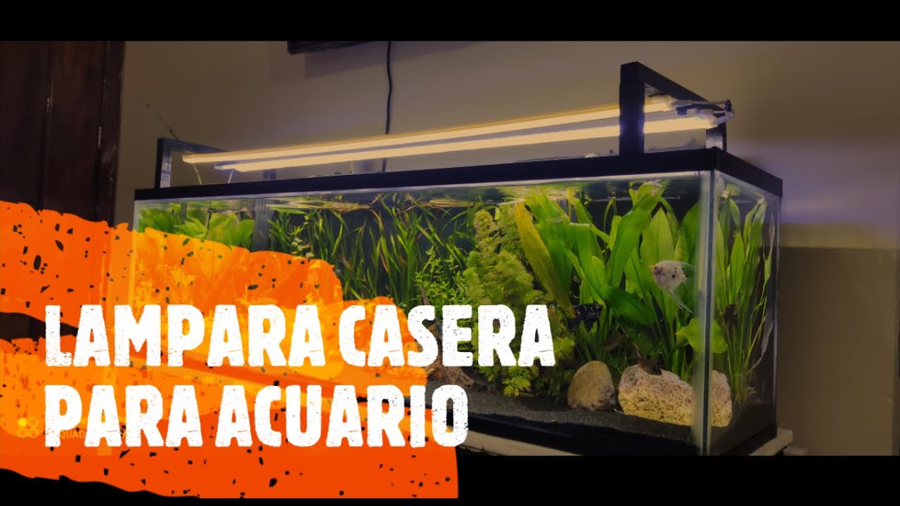 LAMPARA CASERA LED PARA ACUARIO / ACUARIO ZACATECAS