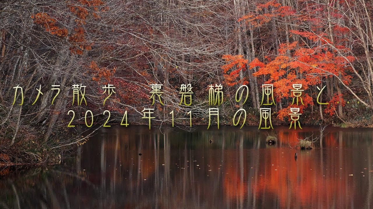 カメラ散歩　裏磐梯の風景と... 2024年11月の風景