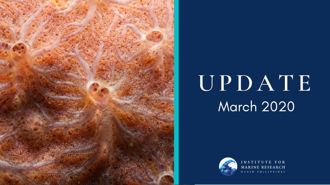 Update: March 2020 with IMR Director, Raf