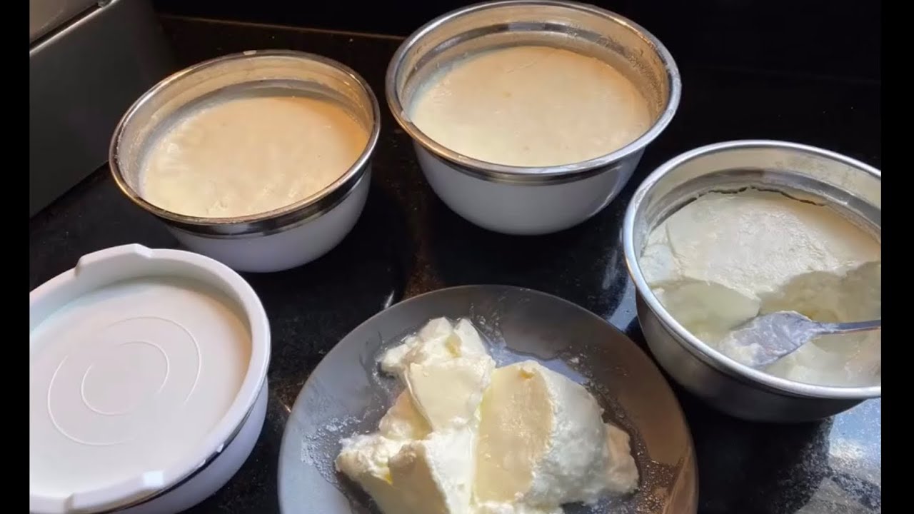 Kurdischer selbstgemachter Joghurt /لبن منزلي / Healthy