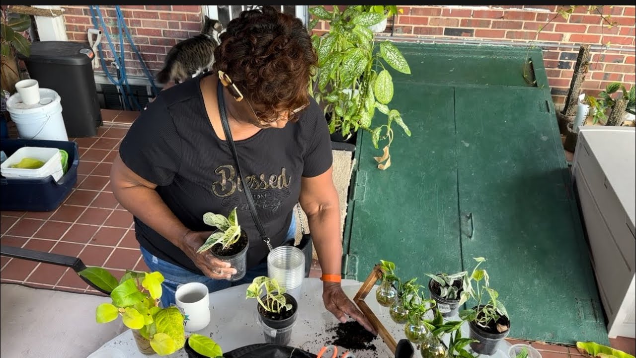 “Son & Mom Get Ready for a Plant Swap | Plant Lover’s Vlog” 💚💚💚💚