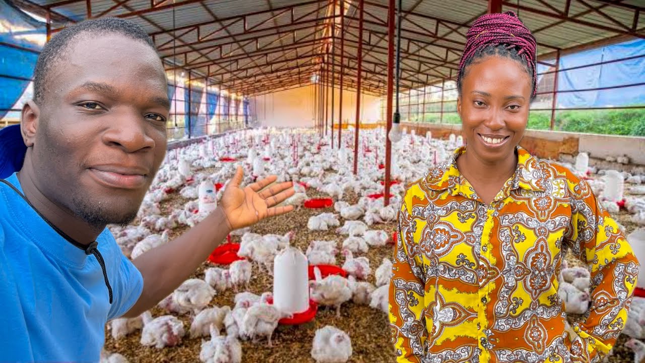 She Started a Profitable Poultry Farm With 50 Chickens In Nigeria