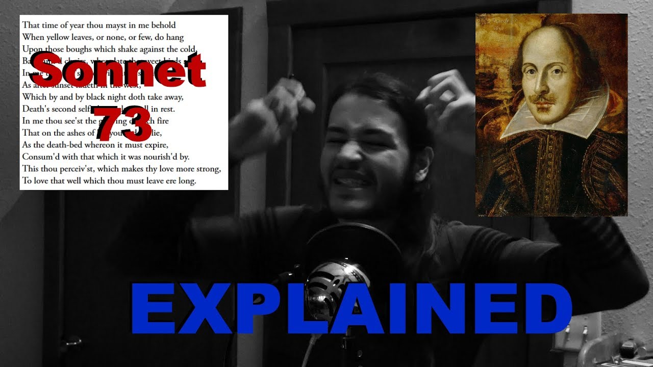 Sonnet 73 - EXPLAINED