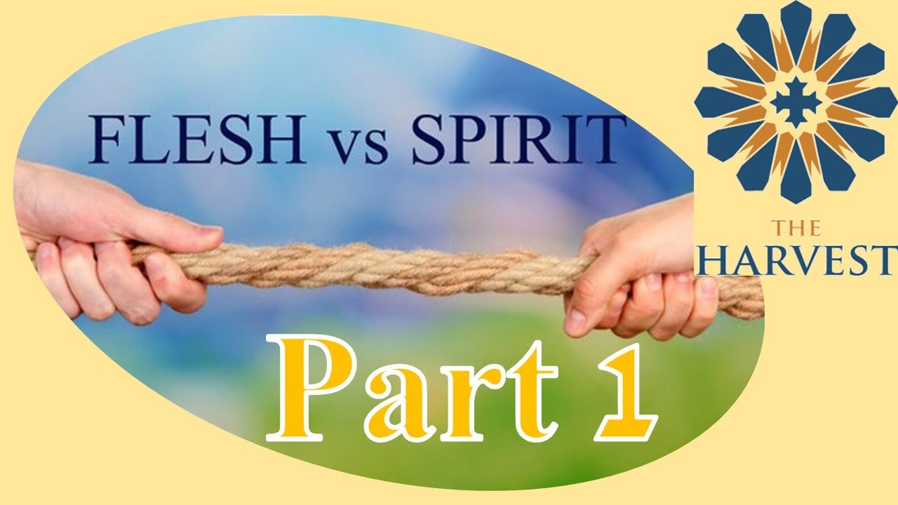 Inner Man vs Outer Man (Part 1) | The Harvest (Fr. Matthias Shehad)